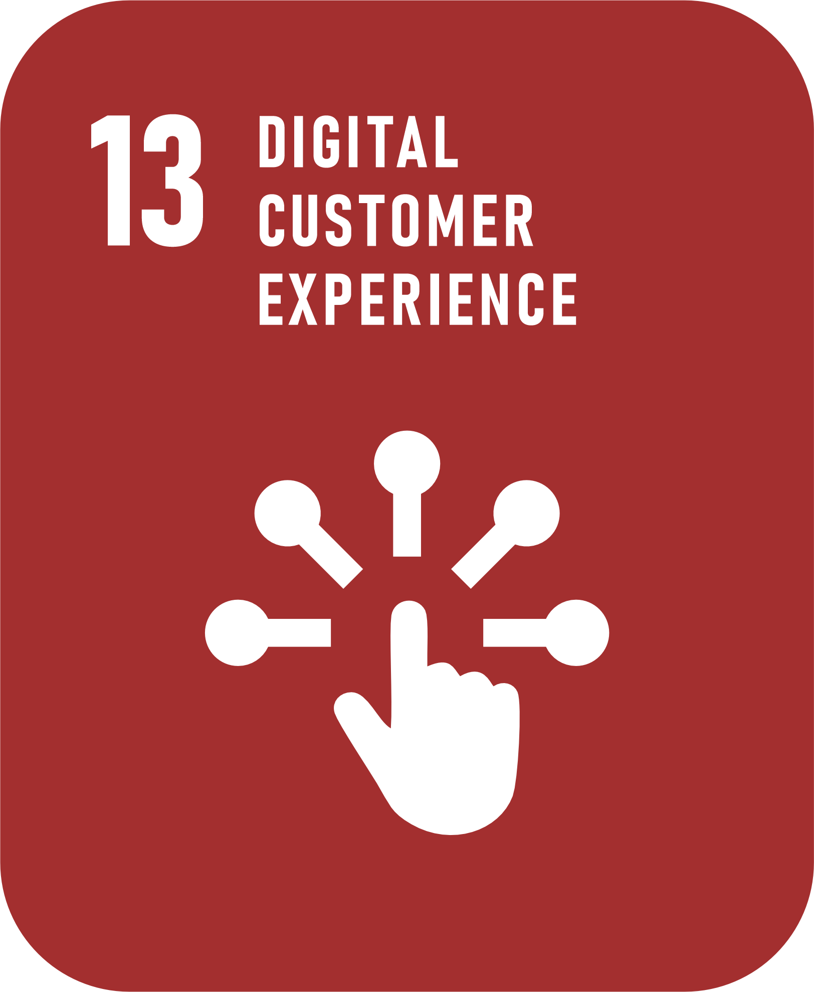 Digital Customer Experience